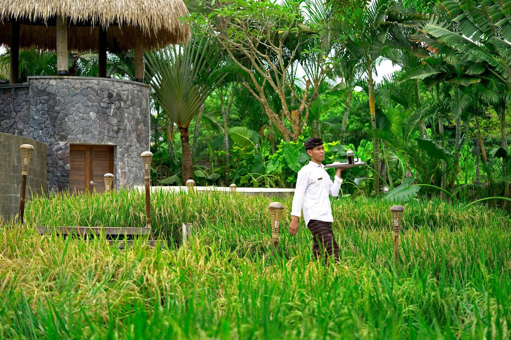 Lalasa Villas Canggu Ngoại thất bức ảnh